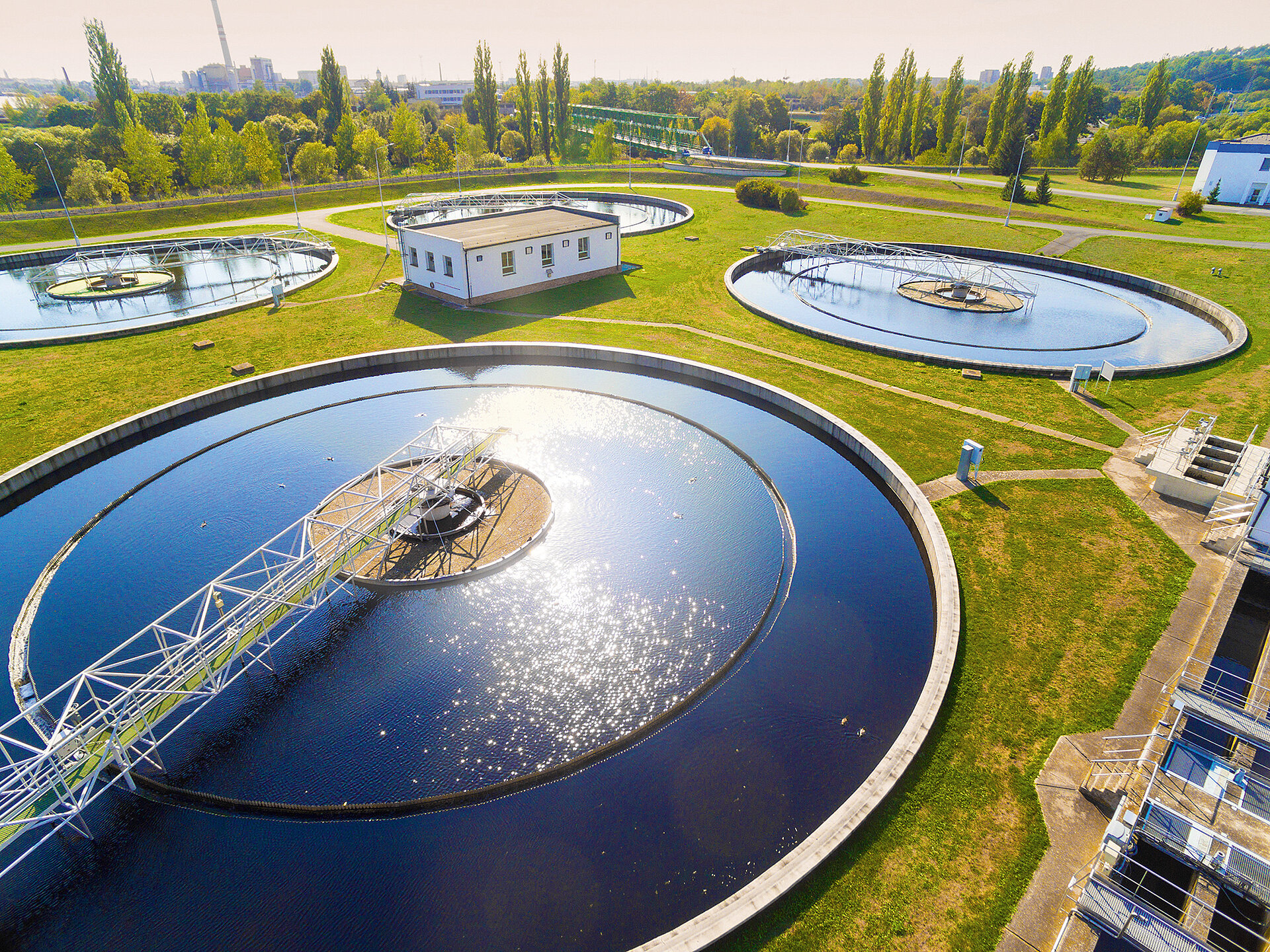 Phosphorus recycling from sewage sludge