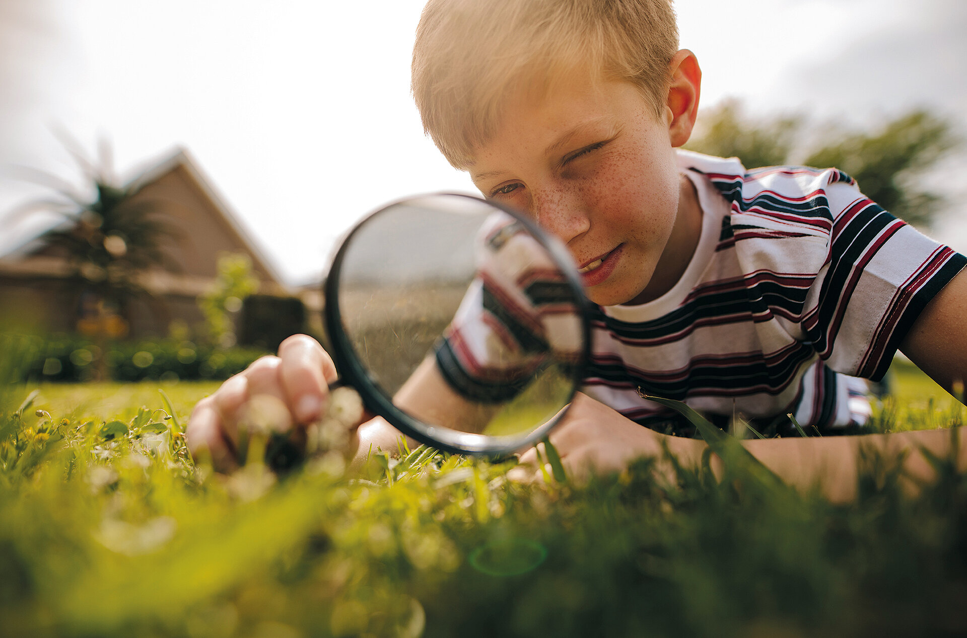 Flachglas-Produktionstechnologie von Grenzebach